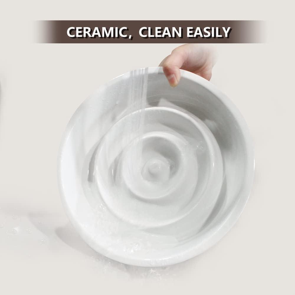 GH Ceramic Slow Feeder Dog Bowl, 3 Cups, 2 Pet Flying Discs Included - White