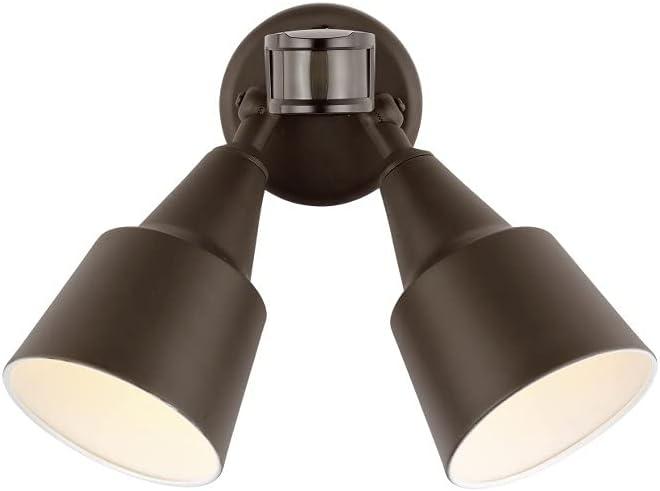 Generation Lighting Collection Metal Flood Light