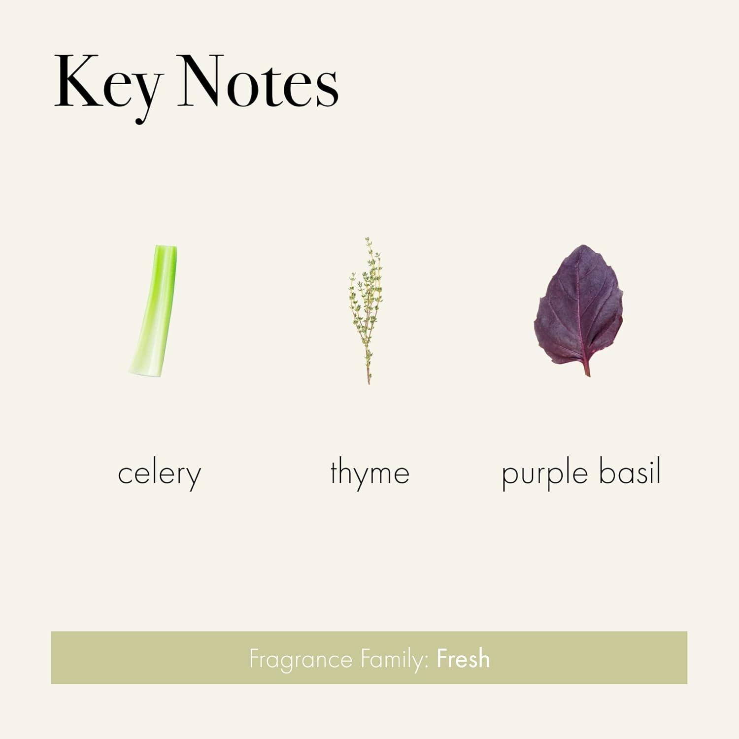 Celery Thyme Scented Jar Candle