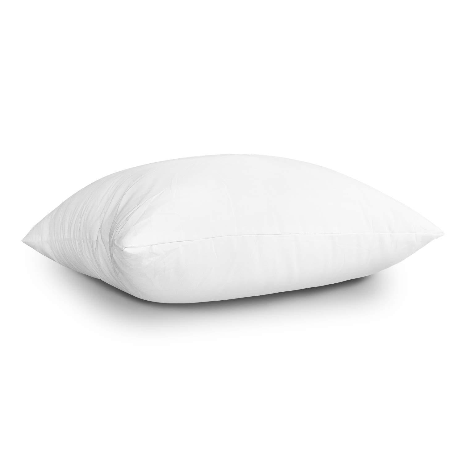 Linjieee Large Throw Pillows for Couch 24x24 2-Piece Non-woven Pillow Core Substitute Polyester Square Pillow Core