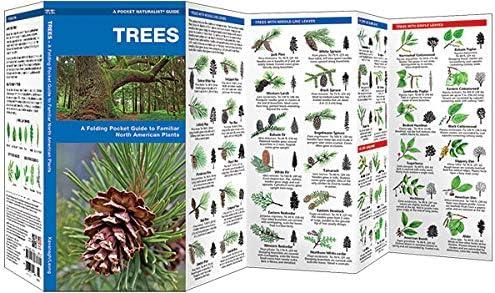 Wildlife and Nature Identification: Trees : A Folding Pocket Guide to Familiar North n Plants (Other)