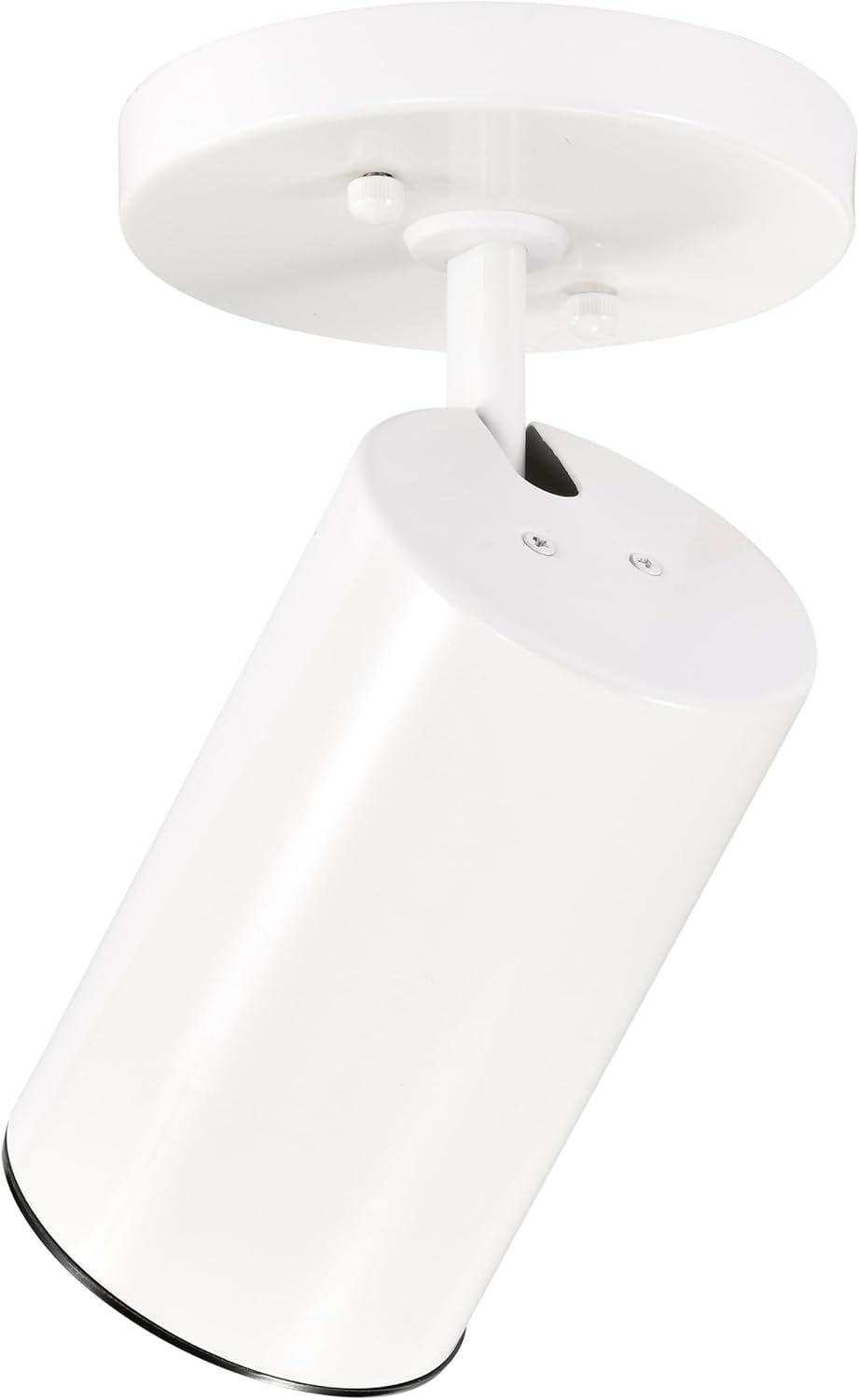 Nuvo Lighting 76/412 1 Light 5" Wide Accent Light Ceiling Fixture - White