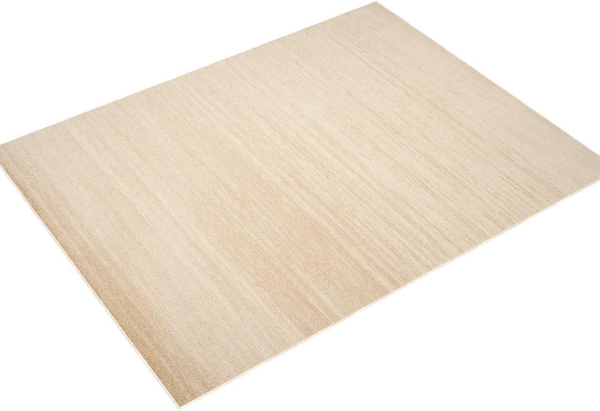 Adirondack ADR113 Machine Made Indoor Area Rug - Champagne/Cream - 11'x15' - Safavieh