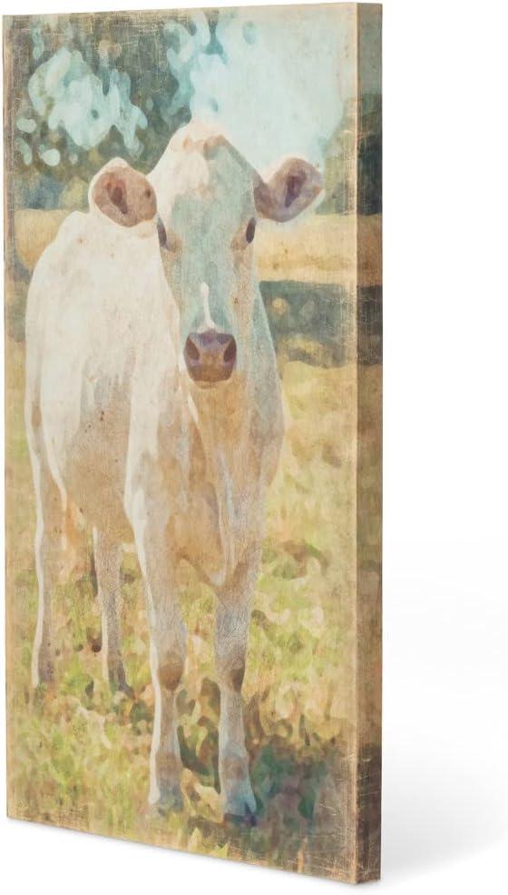 " Charolais Cow "