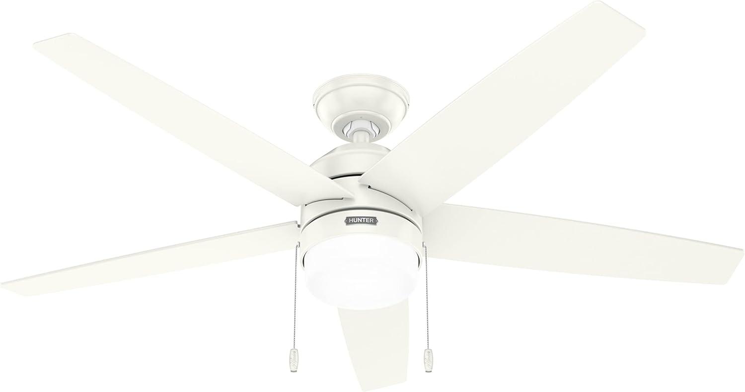 Bardot 52" 5 - Blade Ceiling Fan With Lights and Pull Chains