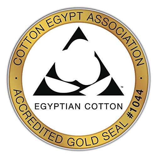 Luxury Duvet Cover Set 100% Certified Egyptian Cotton, Cool Breathable Ultra Soft Double Hem-Stitched Sateen Weave, Hidden Zipper Closure 1 Duvet Cover and 2 Pillow Shams (ICY Blue, Queen)