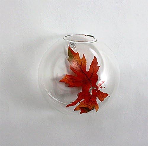 WGV Half Round Wall Hanging Terrarium - 6" Wide x 4" Depth, Good quality, Heavy Weighted Base - 1 Pc