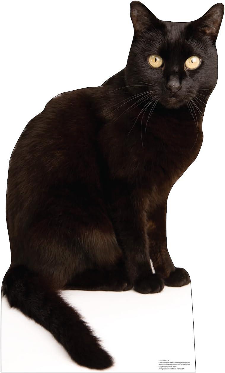 Life-Size Black Cat Cardboard Cutout with Easel Stand