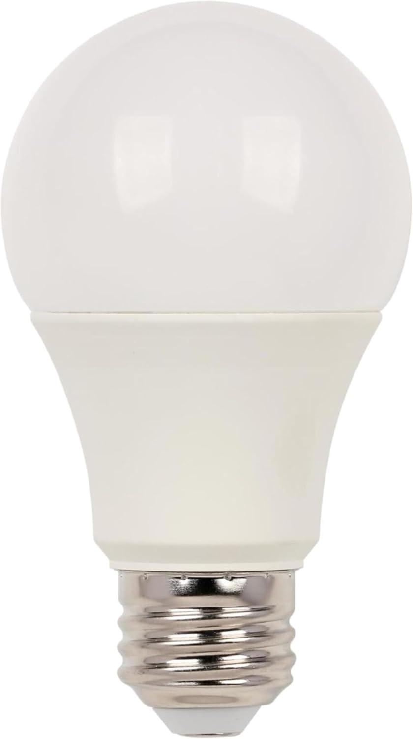 Bright White Frosted LED Light Bulb, Medium Base, 2 Pack
