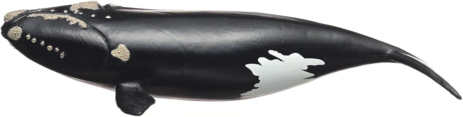 Schleich Wild Life North Atlantic Right Whale