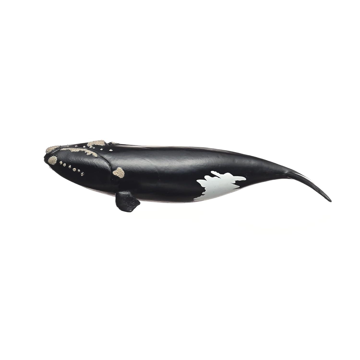 Schleich Wild Life North Atlantic Right Whale