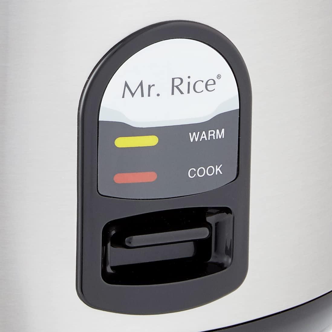 Mr. Rice 10-Cup Stainless Steel Electric Rice Cooker with Steamer