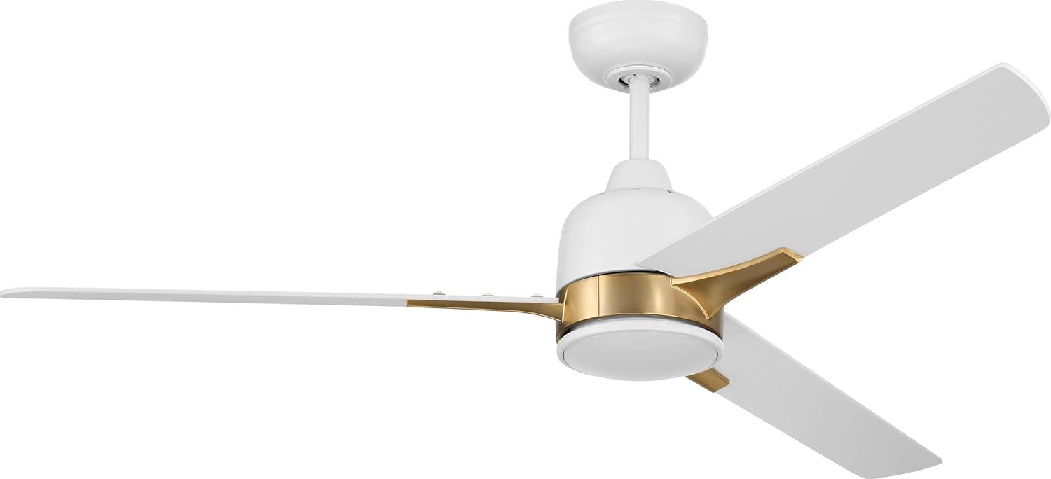 Latitude Run® Eiladh 52" Ceiling Fan with LED Lights & Wall Control