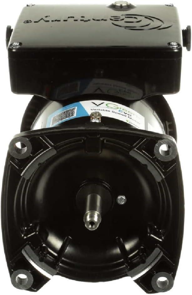 Regal Beloit 60Hz 2.25THP VGreen Evo Variable Speed Square Flange Pool Pump Motor