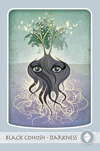 The Herbal Healing Deck (Deck and Guidebook Box Set), (Paperback)