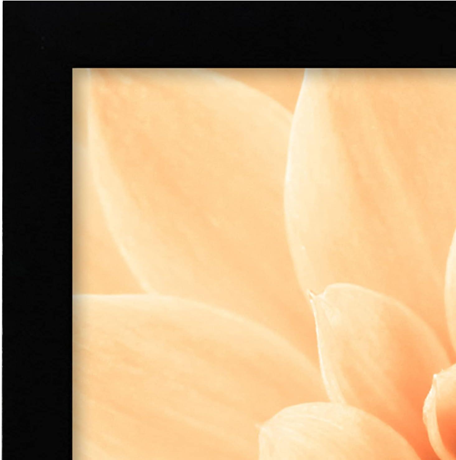 Americanflat A3 Picture Frame with Shatter-Resistant Glass - Set of 2 - 11.7x16.5 Frame with Engineered Wood - Signature Collection - Black