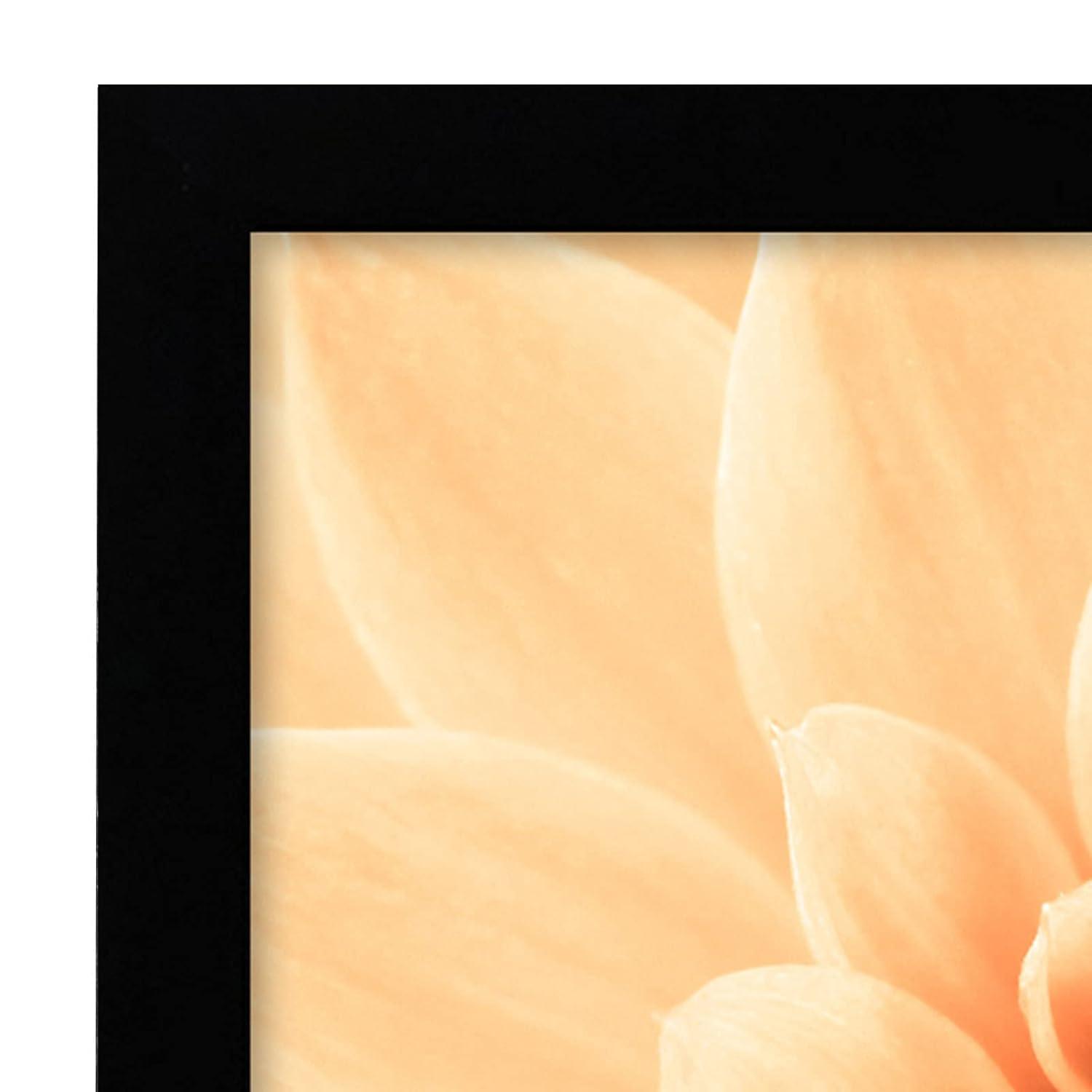 Americanflat A3 Picture Frame with Shatter-Resistant Glass - Set of 2 - 11.7x16.5 Frame with Engineered Wood - Signature Collection - Black