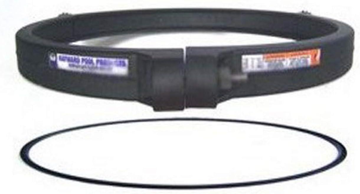 OEM Hayward SwimClear & ProGrid DE Pool Filter Clamp Complete System DEX2421JKIT