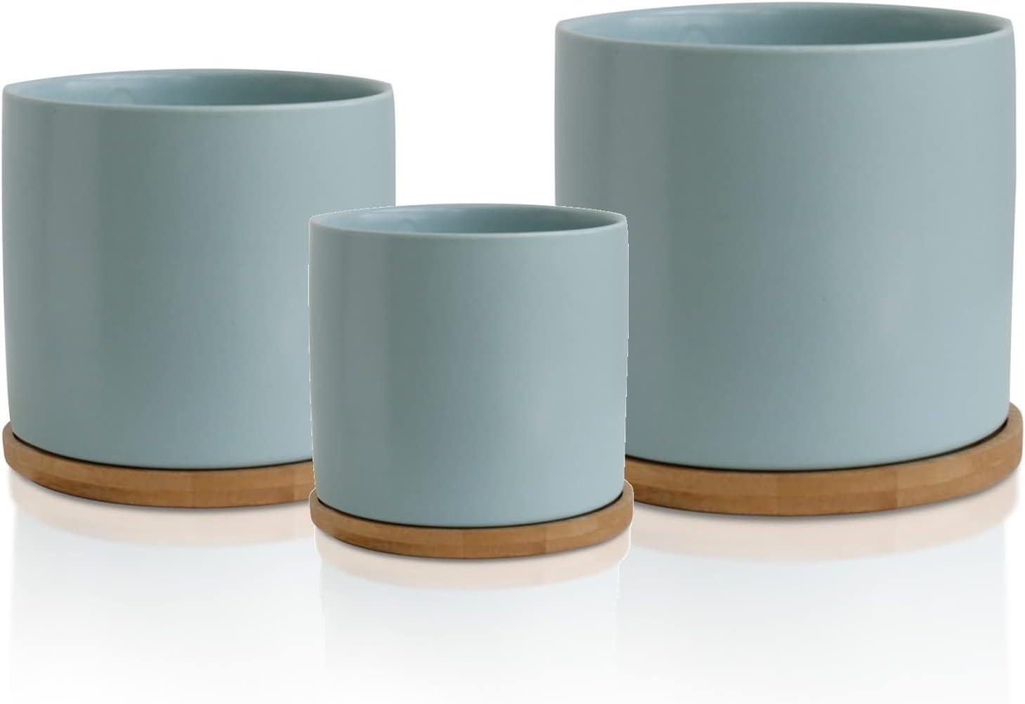 City & Rose Round Pastel Blue Ceramic Plant Pot Set with Bamboo Coasters indoor Planters 3 Count