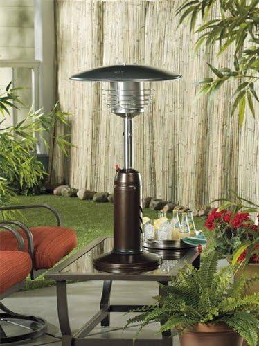 Arlmont & Co. Miceli 11000 Stainless Steel Propane Tabletop Patio Heater