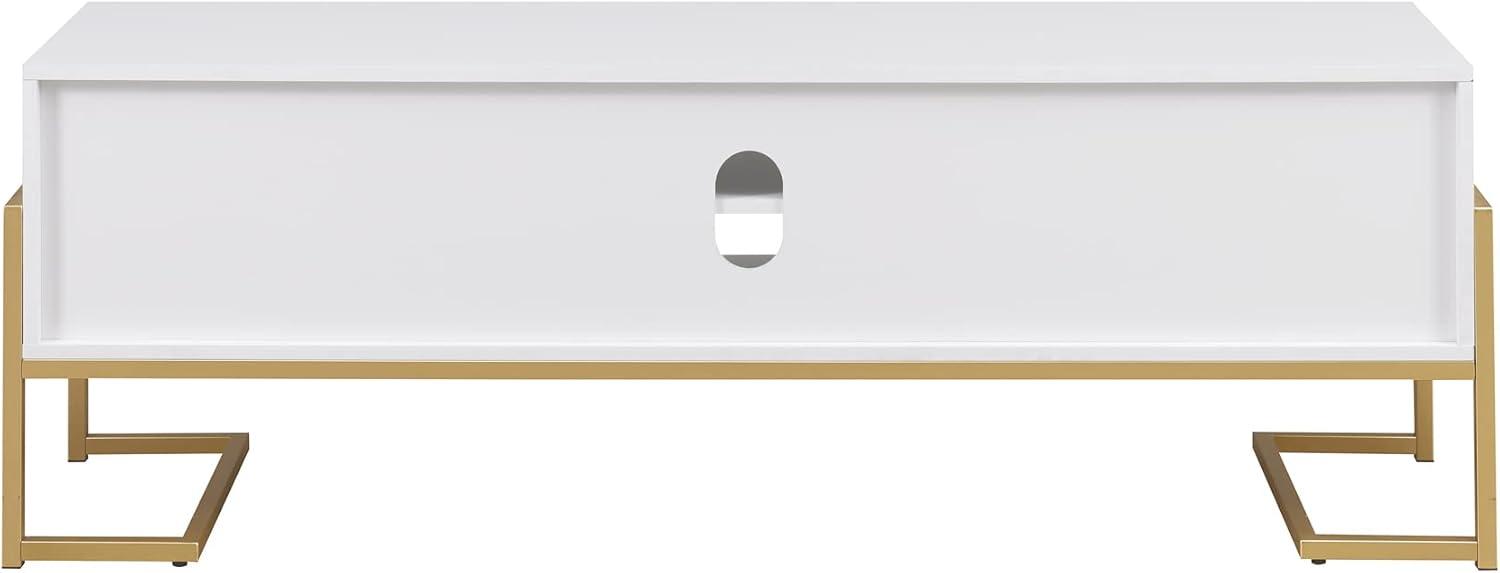 Everly Quinn 60" 2-Drawer TV Stand for TVs up to 65"