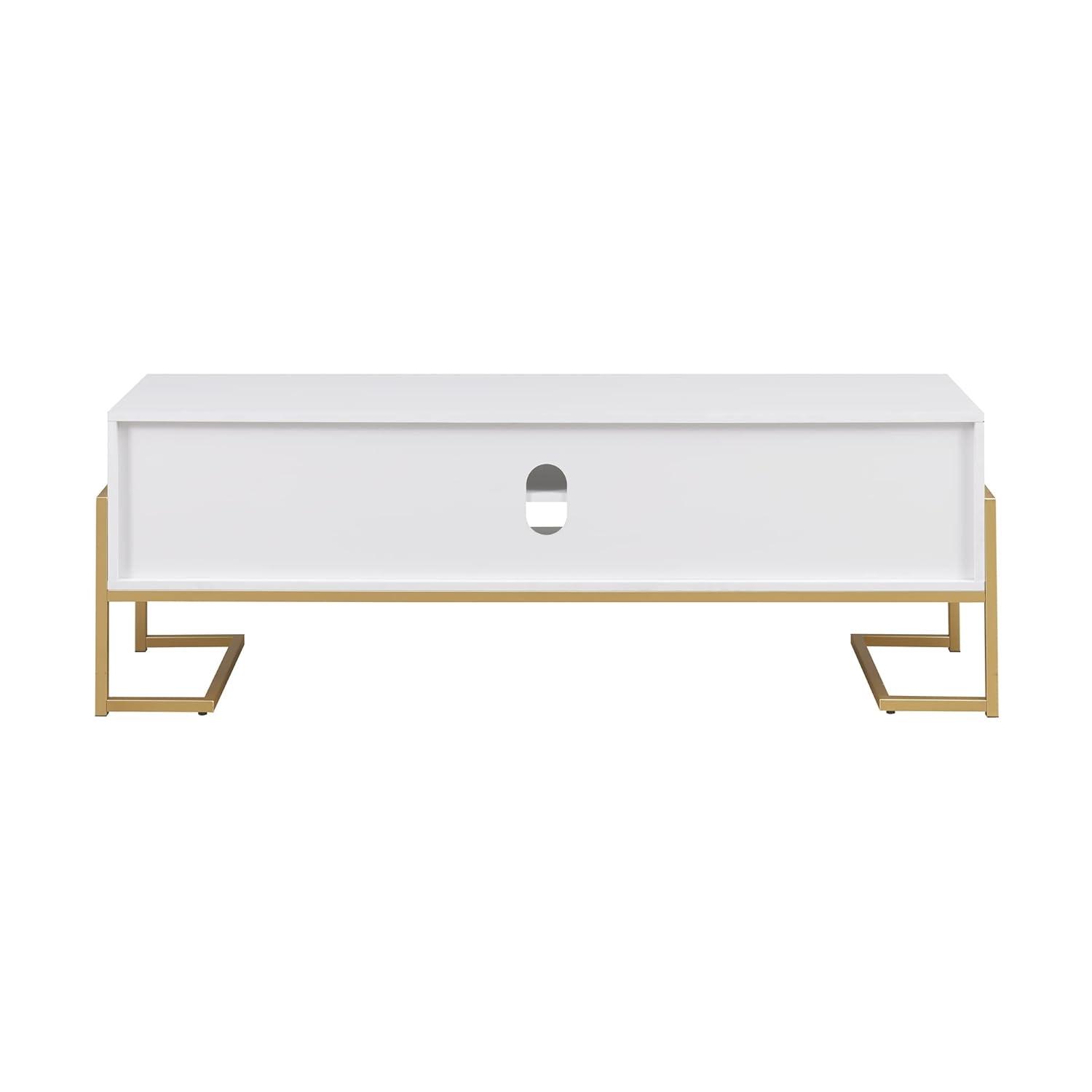 Everly Quinn 60" 2-Drawer TV Stand for TVs up to 65"