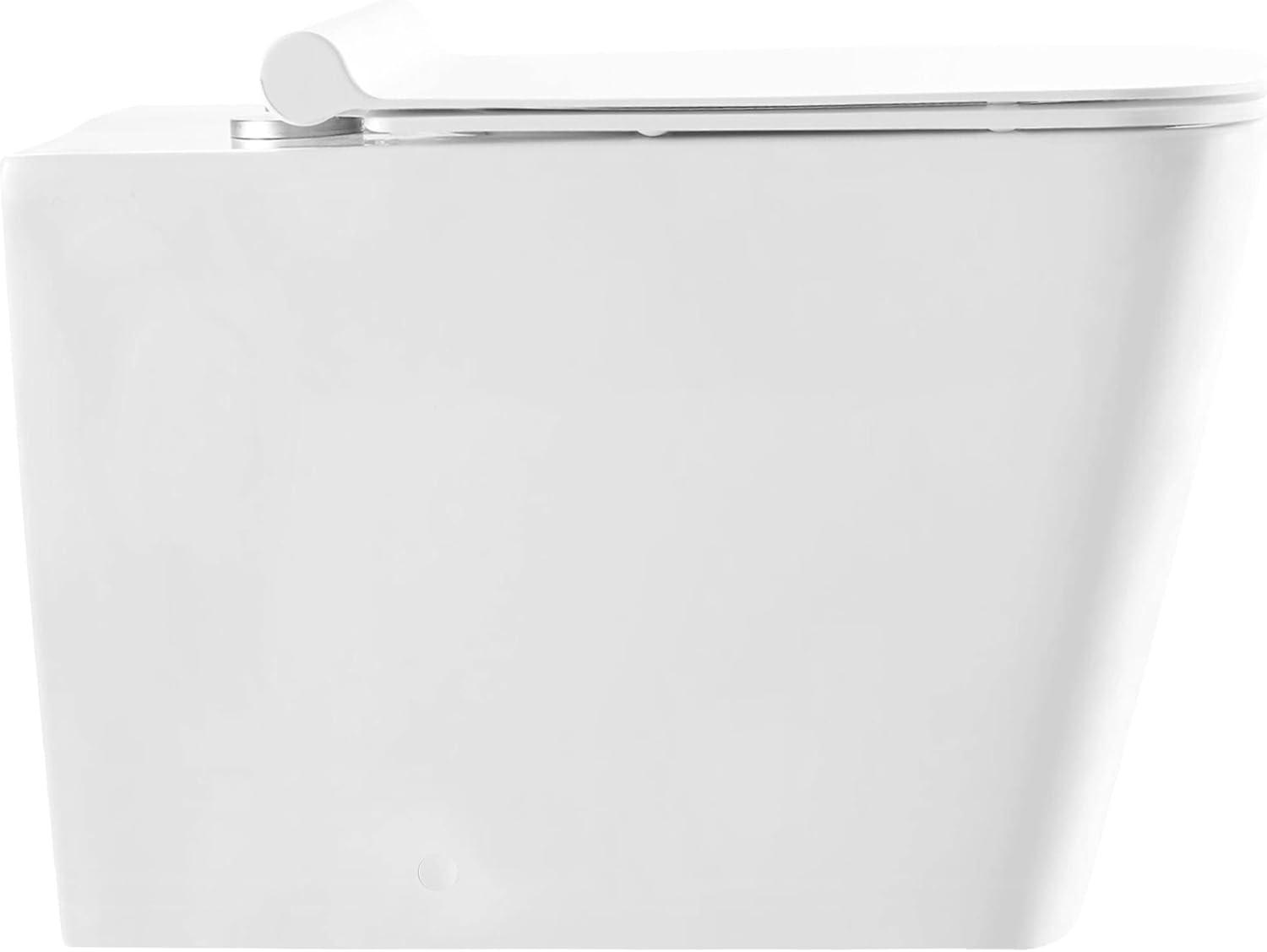 Concorde Back-to-Wall Square Toilet Bowl