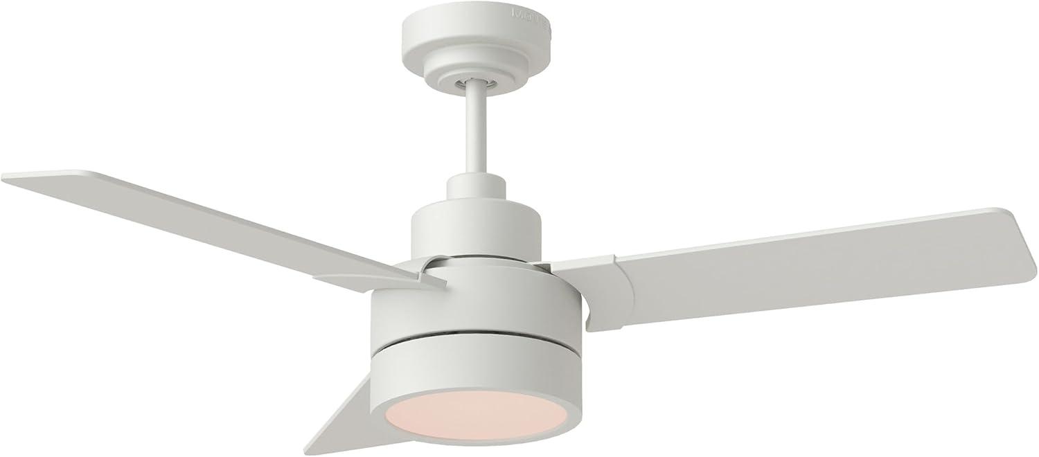 Ebie 44'' Ceiling Fan with LED Lights