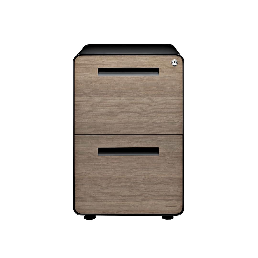 Laura Davidson Furniture Stockpile 2 Drawer Mobile File Cabinet with Lock - Under Desk Metal Filing Cabinet, Legal/Letter File Folders, Wheels and Stationary Feet, Pre-Assembled, Black