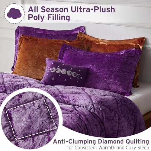 Intelligent Design Felicia Crushed Velvet Comforter Set with Throw Pillow