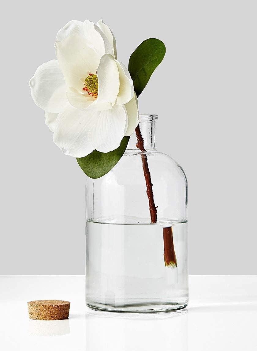 Clear Glass Bottle Vase with Cork Stopper, 11" Tall