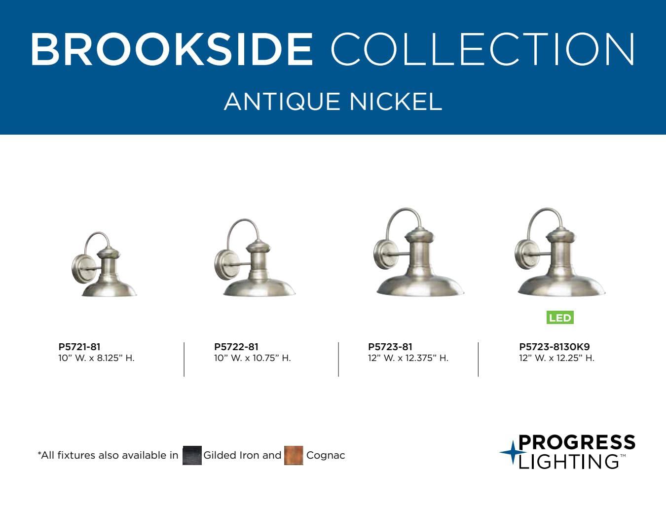 Progress Lighting Brookside 1-Light Antique Nickel Steel Outdoor Wall Lantern