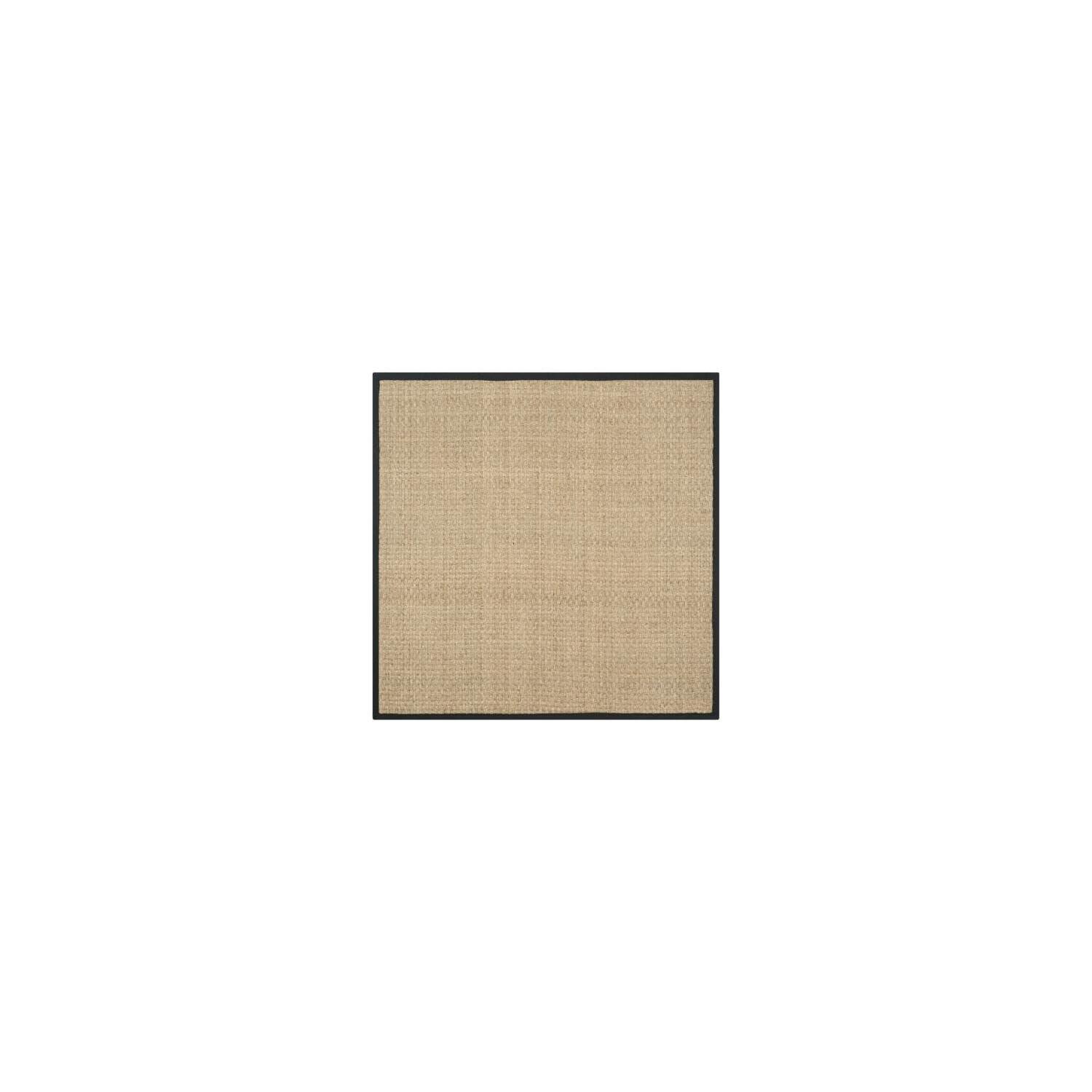 Natural Fiber NF114 Power Loomed Indoor Accent Rug - Natural/Black - 3'x5' - Safavieh
