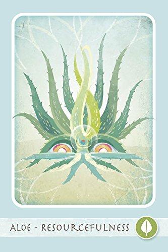 The Herbal Healing Deck (Deck and Guidebook Box Set), (Paperback)