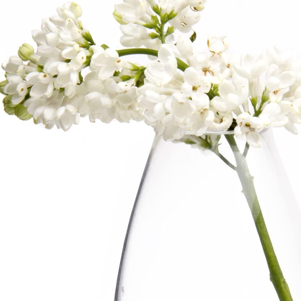 CHIVE ‘George’ Glass Bottle Flower Vases — Set of 6 — Small, Elegant Clear Glass Bud Vases — Bulk Pack for Home Decor & Table Centerpieces — Shape 5 (Oval, 5” Tall, 2.5” Wide)