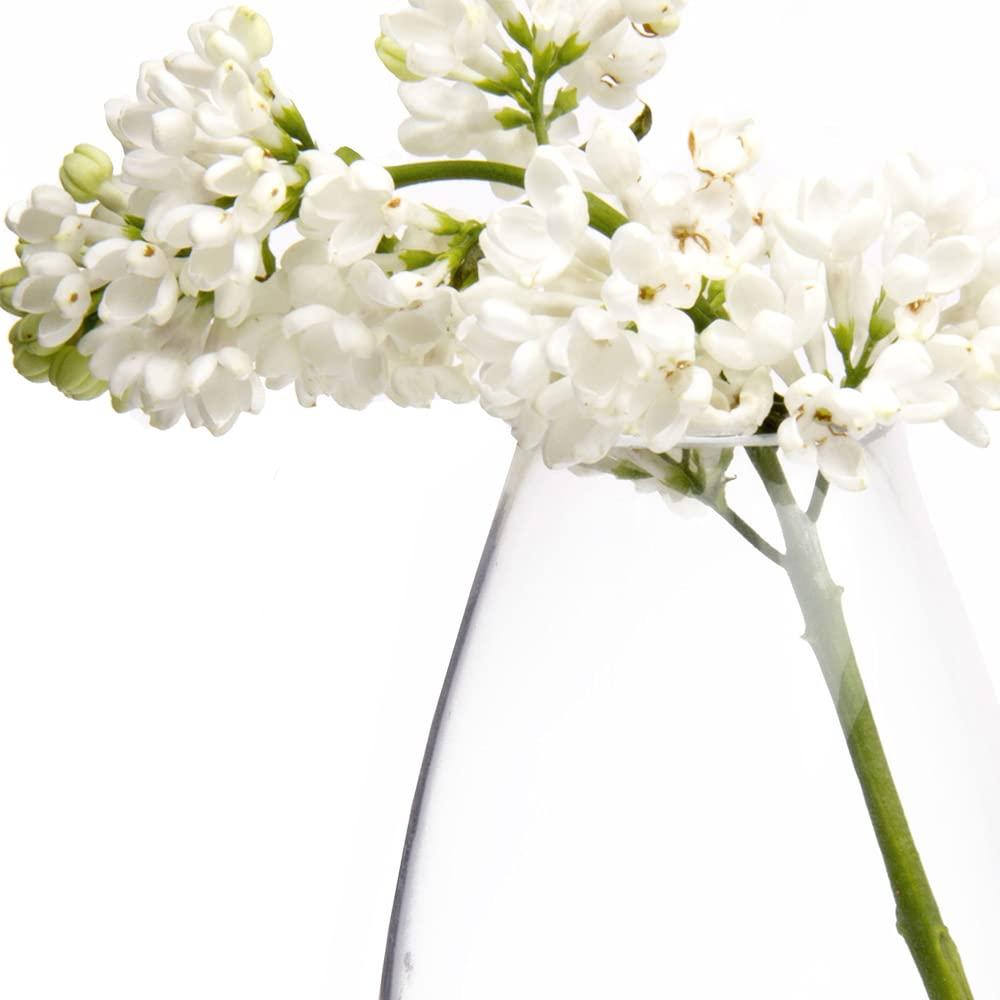 CHIVE ‘George’ Glass Bottle Flower Vases — Set of 6 — Small, Elegant Clear Glass Bud Vases — Bulk Pack for Home Decor & Table Centerpieces — Shape 5 (Oval, 5” Tall, 2.5” Wide)