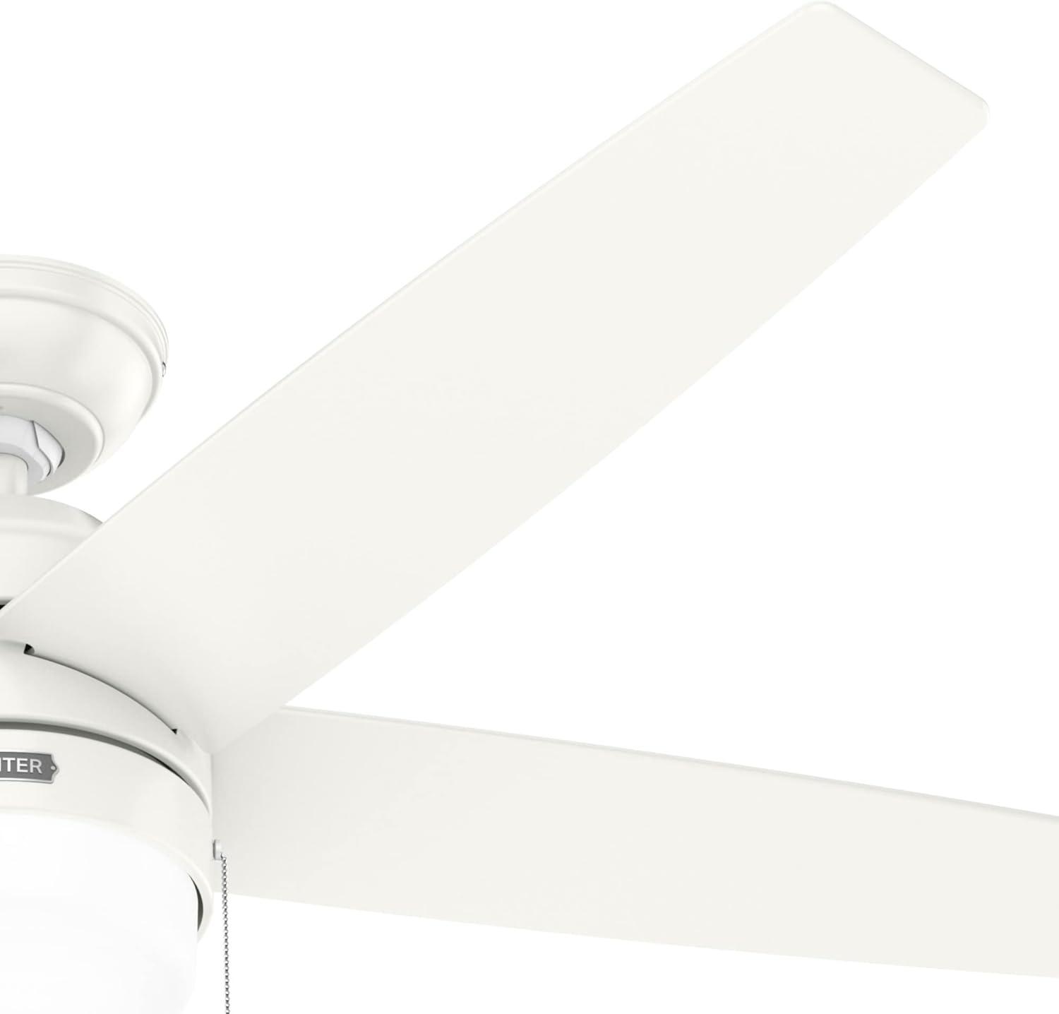 Bardot 52" 5 - Blade Ceiling Fan With Lights and Pull Chains
