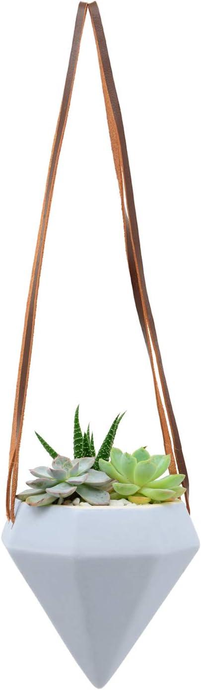 Guilford Ceramic Hanging Planter