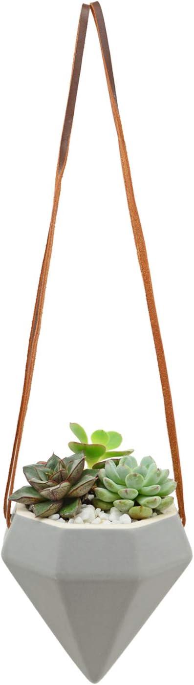 Guilford Ceramic Hanging Planter