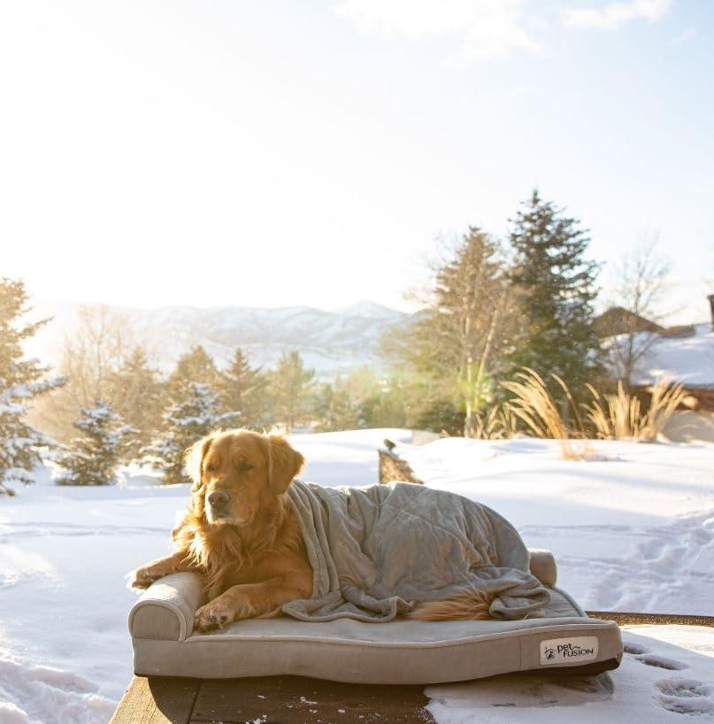 PetFusion BetterLounge Suede Orthopedic Memory Foam Dog Bed, Grey, Large