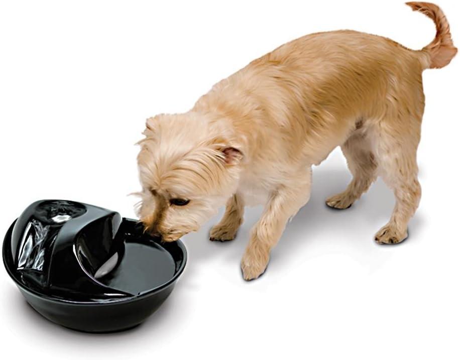 Pioneer Pet Raindrop Automatic Water Dish