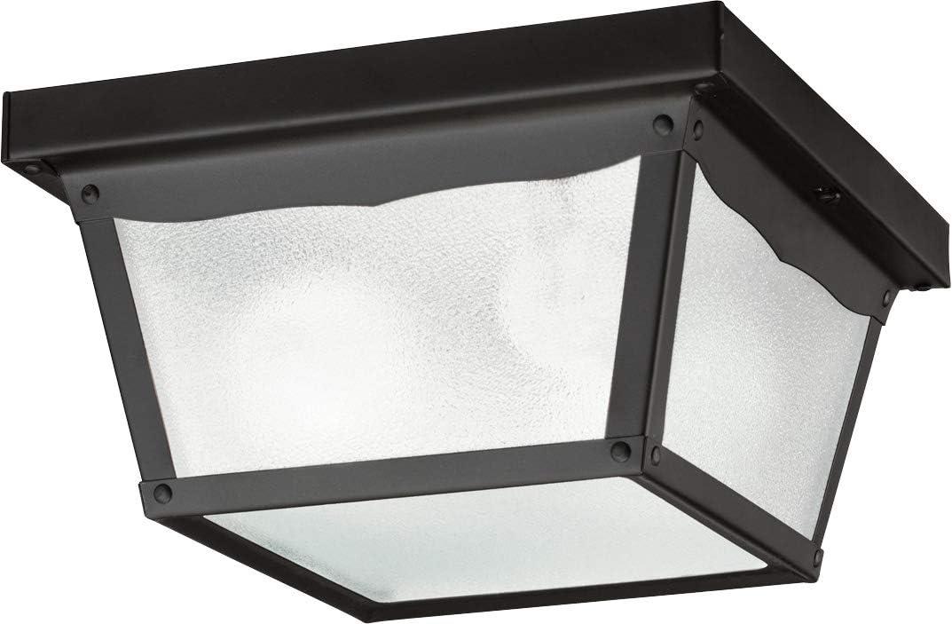 Black Glass 9.25" 2-Light Outdoor Flush Mount Ceiling Fixture