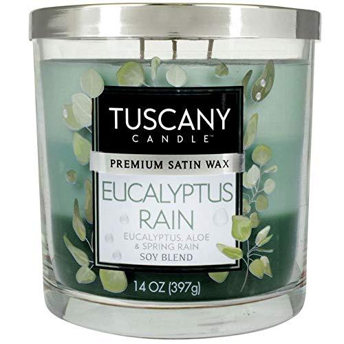 Eucalyptus Rain Scented Soy Jar Candle, 14 oz - Blue