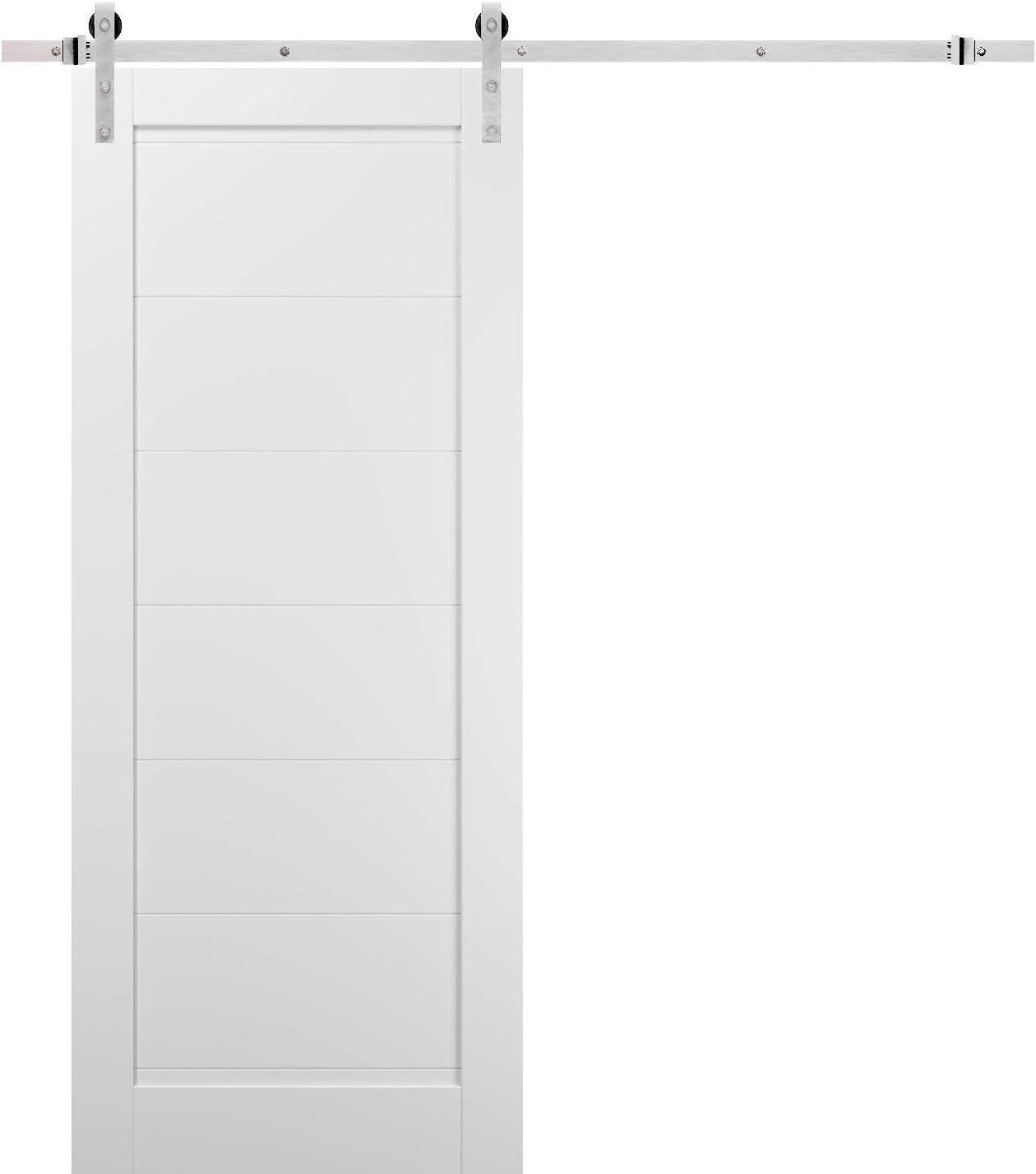 SARTODOORS Quadro Paneled Wood Barn White Door with Installation Hardware Kit