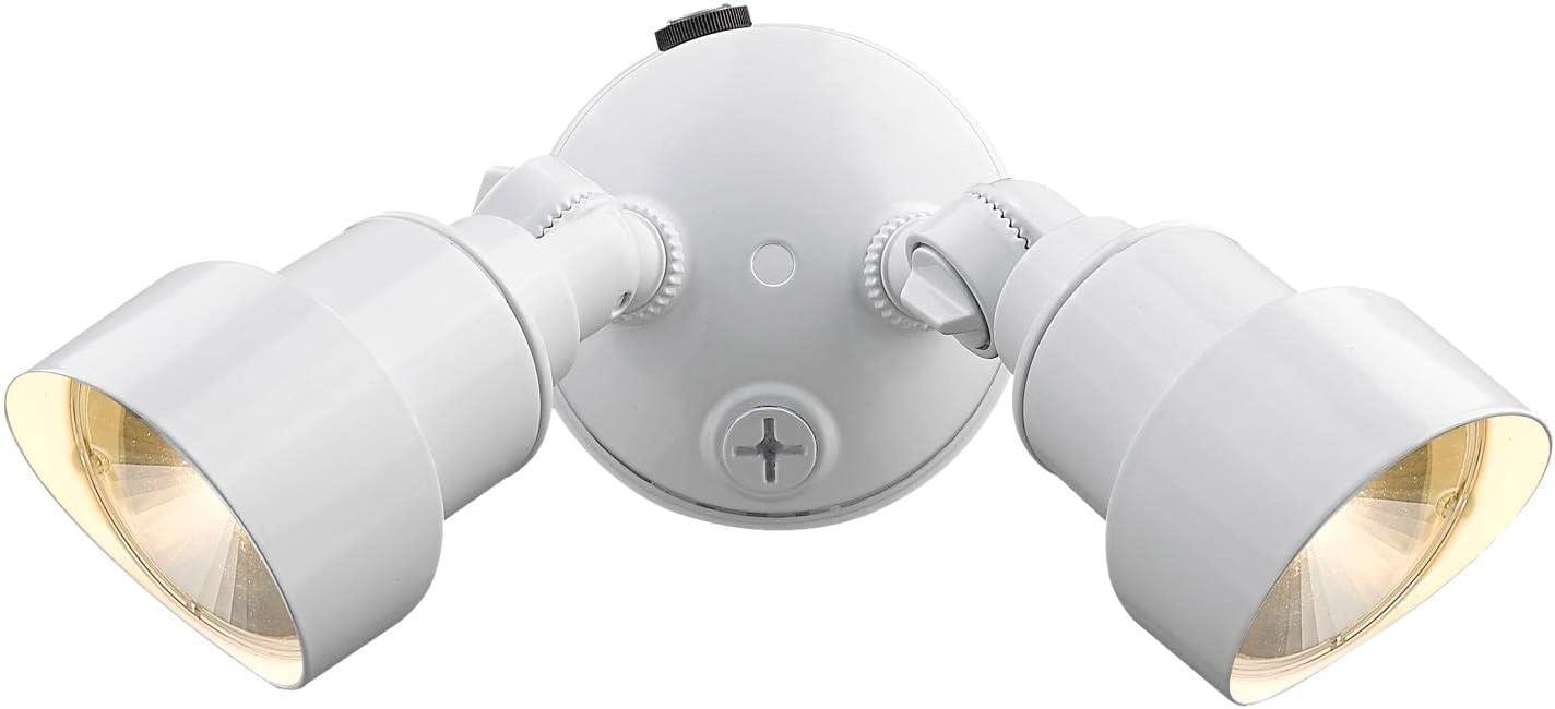 Acclaim Lighting LFL2WH 2-Light Gloss White Integrated LED Adjustable Head Floodlight