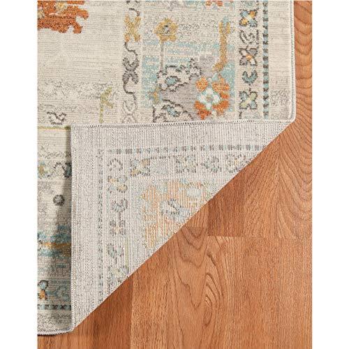 Boho Chic Transitional Indoor/Outdoor Area Rug 8'9" x 11'9"