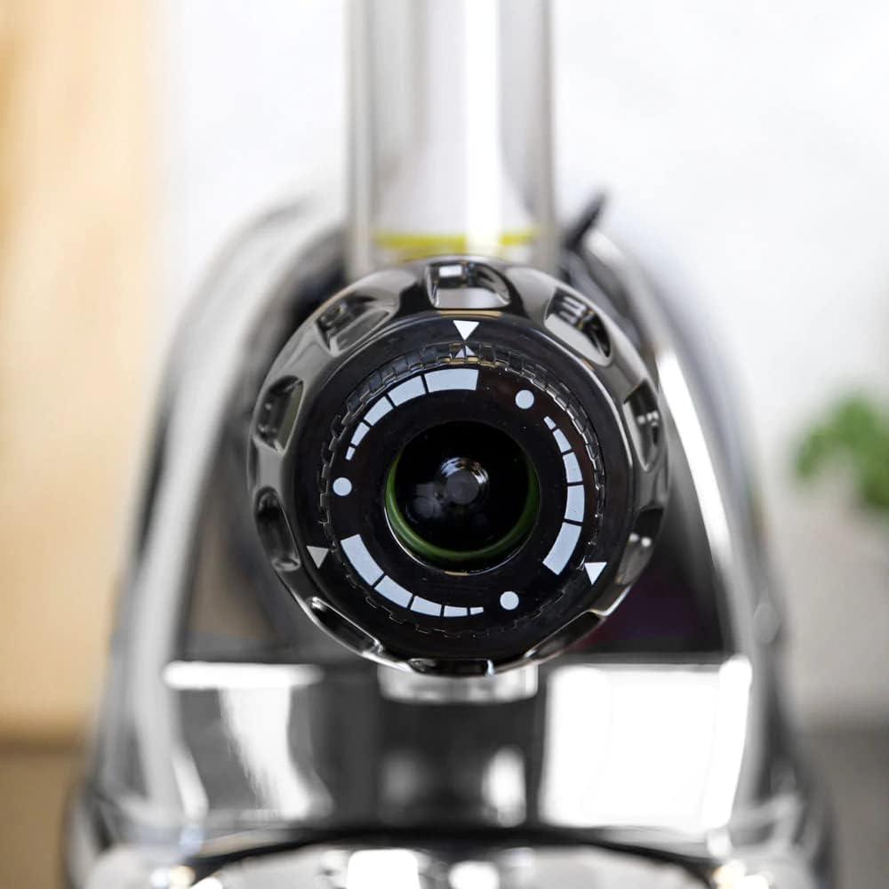 Omega Omega Cold Press Slow Masticating Juicer