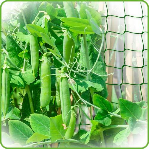 Original Stationery Trellis Netting for Climbing Garden Plants, Easy to Install Plant Net and Vegetable Netting to Grow Garden Flowers
