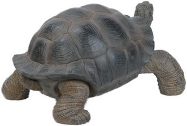 Tortoise Statue