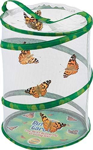 Insect Lore Giant Butterfly AIF9 Garden with Voucher | 18 Inch Habitat | Life Cycle Figurines Included | Voucher to Redeem 5 Baby Caterpillars Later | Raise Painted Lady Butterflies